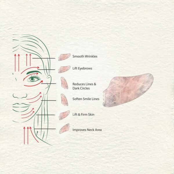 Rose Quartz Guasha | Beauty shape - Image 3
