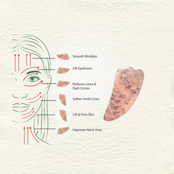 ilika Rose Quartz Guasha - Feather shape