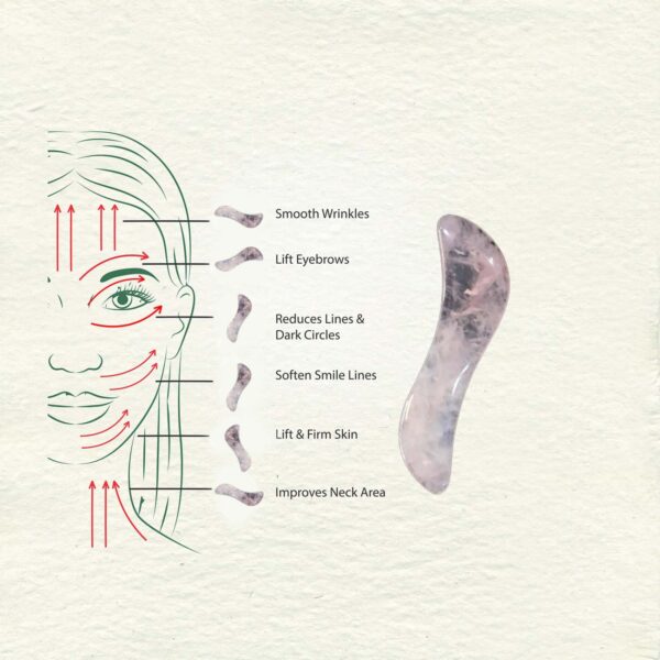 Ilika Rose Quartz Gua Sha | Face & Body Massager - Image 4