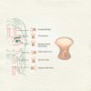 Rose Quartz Guasha | Mushroom shape - Image 3